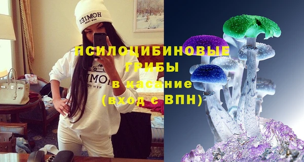 соль ск Мегион